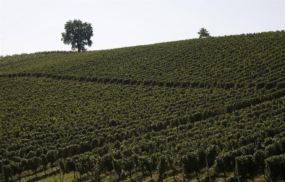 Stupnicki Dvori Winery Hotel Stupnik Brodski Εξωτερικό φωτογραφία